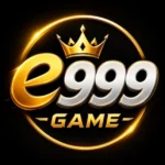 E999 game logo image (3)